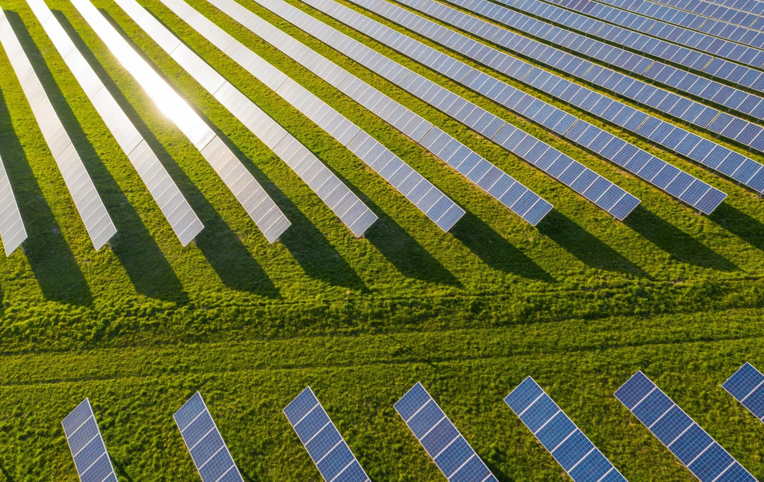 Agrivoltaico_Italiana.-Energia